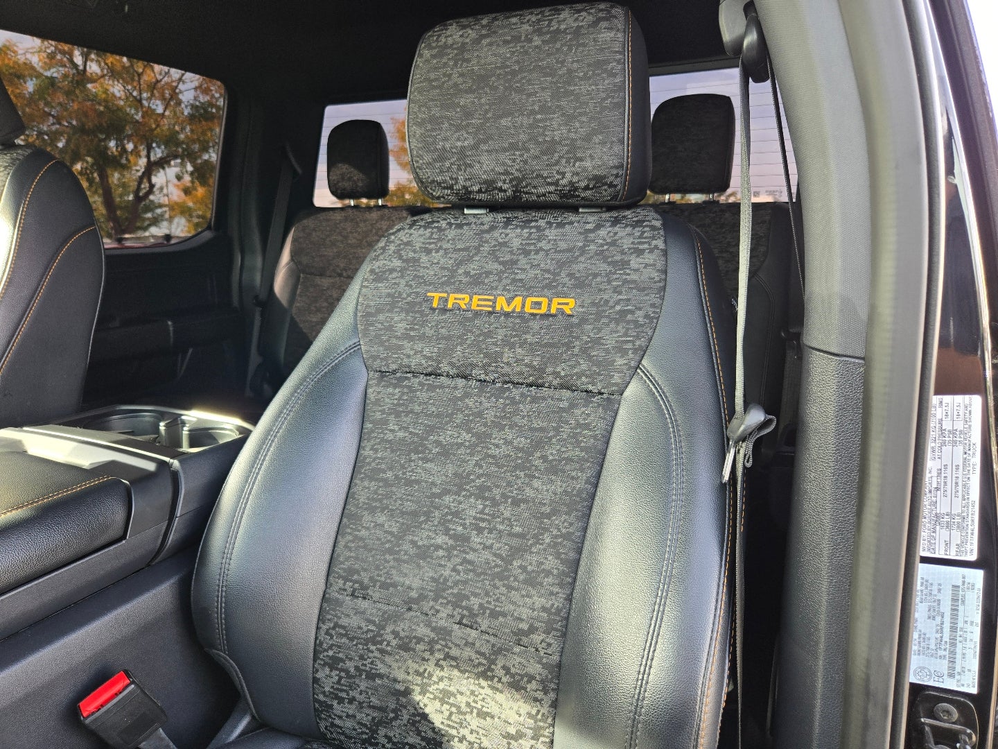 2024 Ford F-150 Tremor
