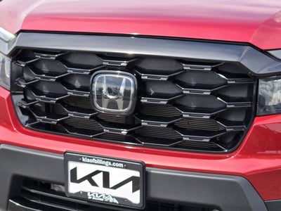 2023 Honda Passport Elite
