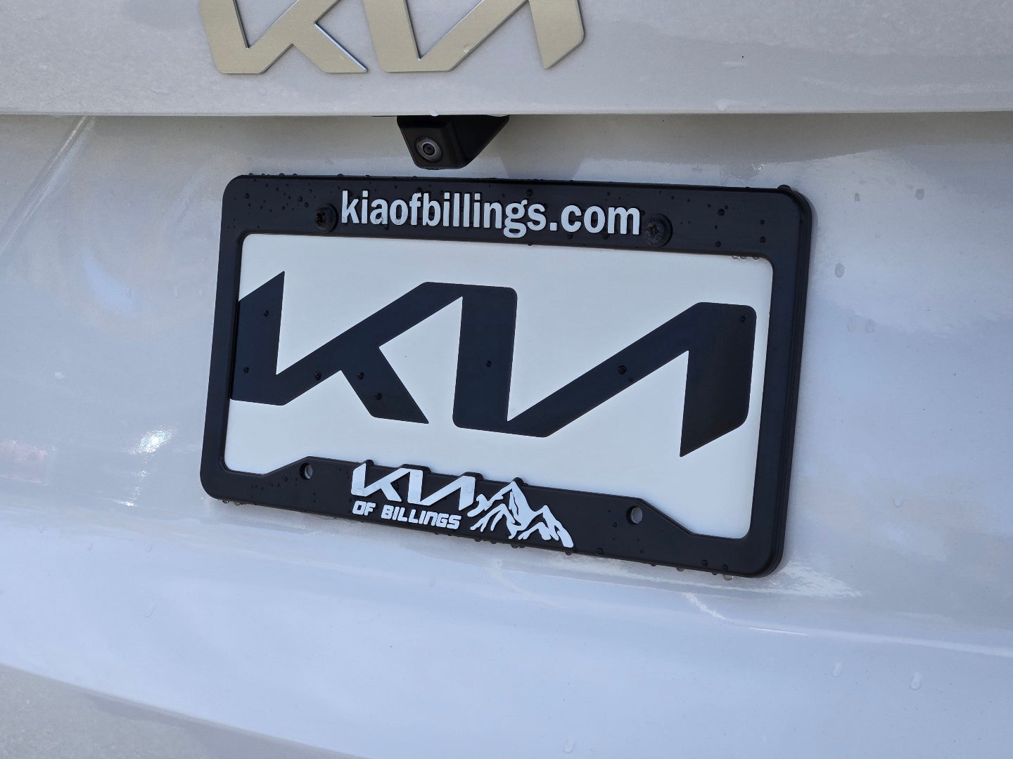 2025 Kia Sorento EX Billings MT | Kia of Billings 5XYRHDJF3SG361844