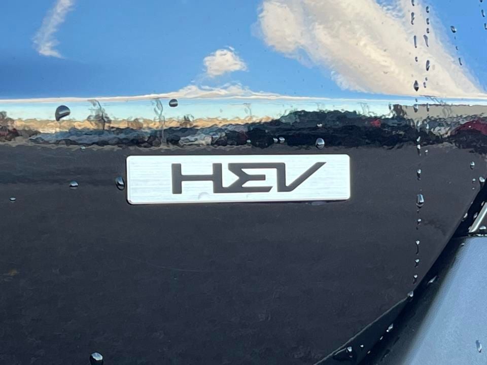 2025 Kia Carnival Hybrid SX