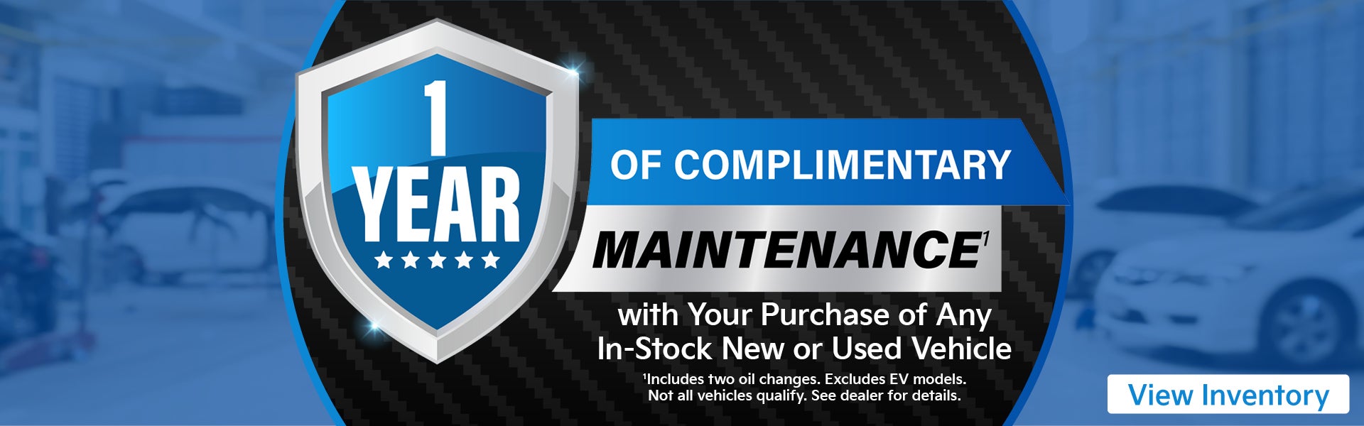 1 Year Maintenance